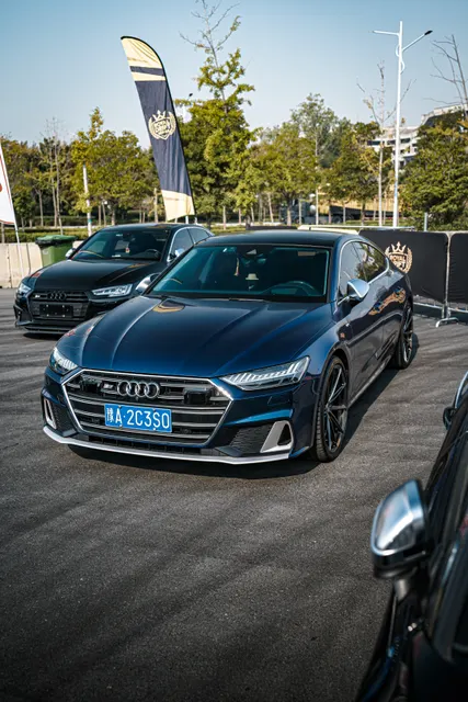 CARSVISION