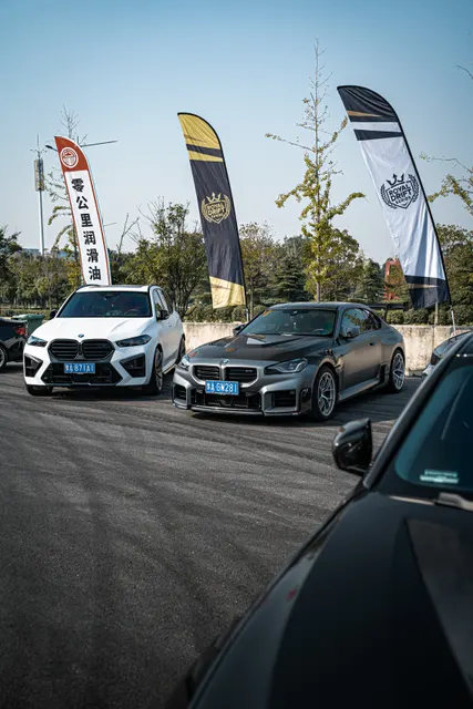 CARSVISION