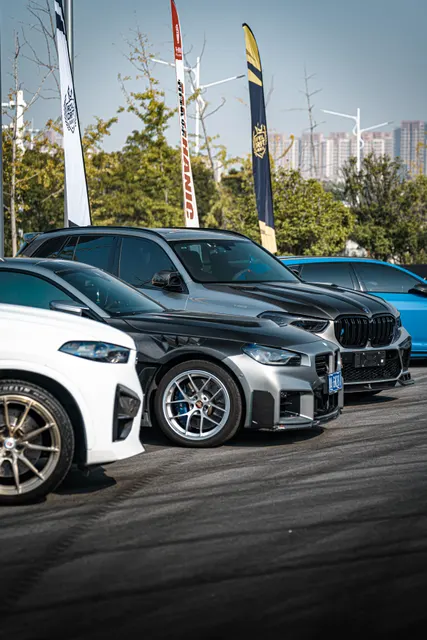 CARSVISION