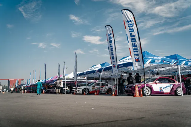 CARSVISION