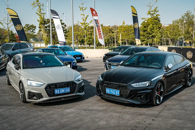 CARSVISION