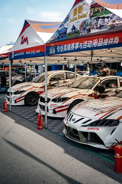 CARSVISION