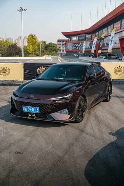 CARSVISION