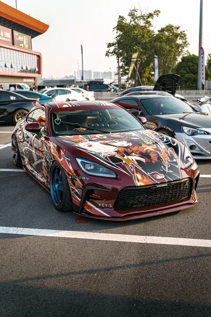 CARSVISION